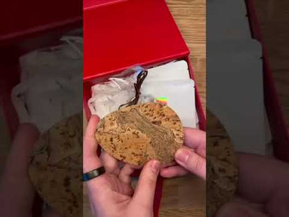 For the Coffee Lovers